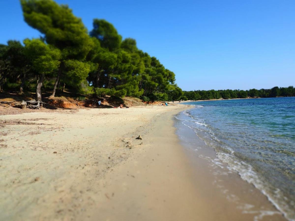 La Londe La Mer : Appartement Proche Plages & Vue Superbe Sur Les Iles D'Or La Londe-les-Maures Exterior foto